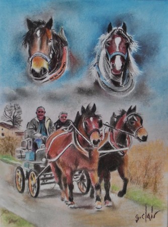 Au rythme des chevaux